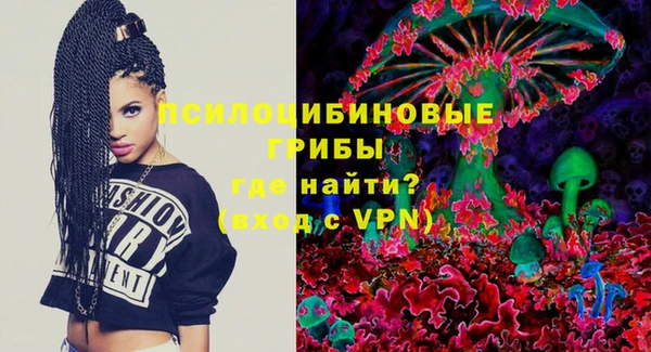 молекула духа Алексеевка