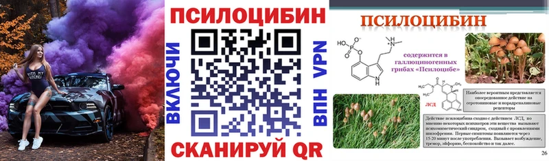 где можно купить наркотик Алдан Псилоцибиновые грибы Magic Shrooms